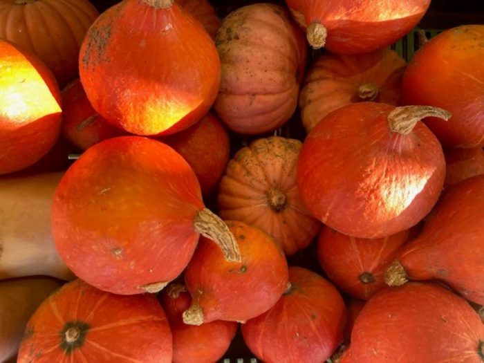 Courges mélangées de Chez Aurélie