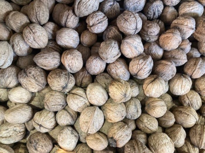 Noix de Chez Aurélie