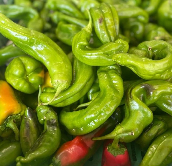Poivrons de Chez Aurélie